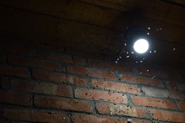 Do LED Lights Attract Bugs?