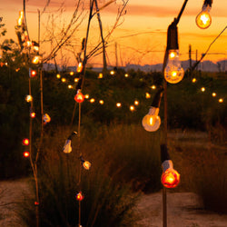 backyard lights
