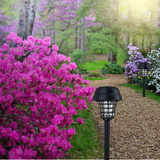 anti-mosquito solar light in garden