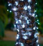bright white LED string lights on a tree