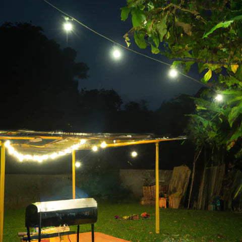 What Light Is Best for My Backyard?