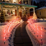 Candy cane outdoor lights as part of a festive Christmas display in the front yard.