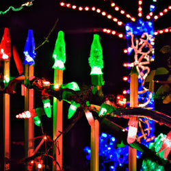 outdoor Christmas lights