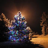 Tree in yard, illuminated with outdoor colored lights and surrounded by snow.