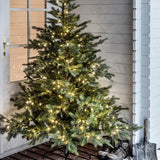 Christmas tree illuminated with warm white lights on porch.