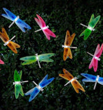 12 Solar Dragonfly Lights