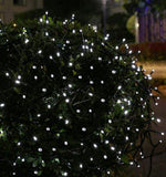 200 bright white LED string lights on a bush