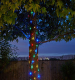 colored solar fairy lights wrapped around tree